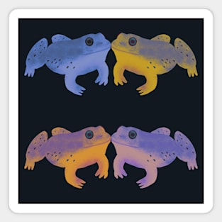 Bullfrog Buddies (Sunsplash Shadow) Magnet